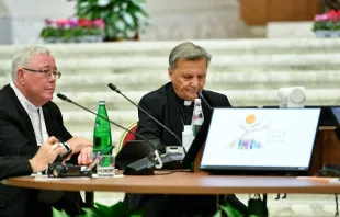 Die Kardinäle Hollerich SJ und Grech, zwei Schlüsselfiguren bei der Weltsynode zur Synodalität / Vatican Media