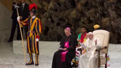 Papst Franziskus bei der ersten Generalaudienz nach der Sommerpause.
Foto: CNA / Daniel Ibanez / 