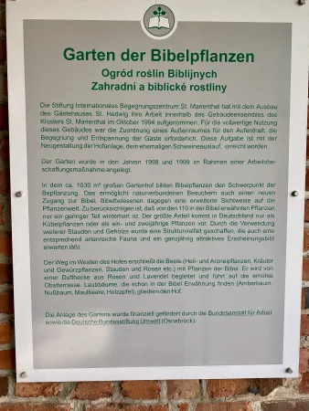 Garten der Bibelpflanzen im Kloster Marienthal