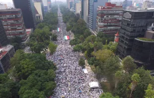 Die Demonstration auf dem Paseo de la Reforma, der Hauptverkehrsader von Mexiko-Stadt. / Frente Nacional por la Familia