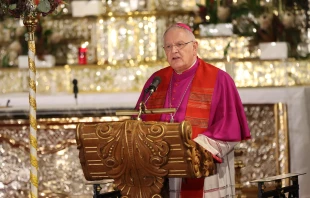 Bischof Heinrich Timmerevers / Deutsche Bischofskonferenz / Marko Orlovic