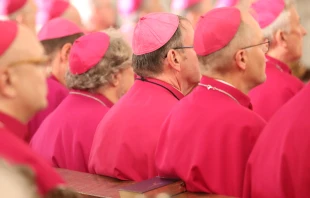 Bischöfe (Symbolbild) / Deutsche Bischofskonferenz / Marko Orlovic