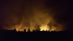 Buschbrände in Australien / Gemeinfrei 