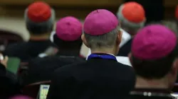 Bischöfe in der Synodenhalle am 14. Oktober 2015  / CNA / Daniel Ibanez