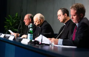 Pressekonferenz zur Präsentation der Instruktion  / Daniel Ibañez / CNA