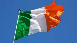 Irische Flagge / Foto: L F File/Shutterstock