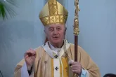 Prager Erzbischof bei Synode: Wir haben „nicht den sensus fidei der Gläubigen entdeckt“