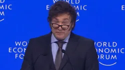Javier Milei / screenshot / YouTube / World Economic Forum