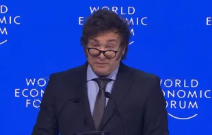 Javier Milei / screenshot / YouTube / World Economic Forum