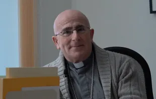 Bischof Joseph Maria Bonnemain / screenshot / YouTube / RTR Films