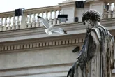 Regen und die Frömmigkeit als Gabe des Heiligen Geistes: Jubelaudienz am Petersplatz
