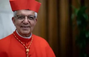 Kardinal Adalberto Martínez Flores / Daniel Ibañez/ACI Prensa
