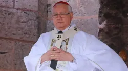 Kardinal Francisco Robles Ortega, Erzbischof von Guadalajara (Mexiko) / Erzbistum Guadalajara