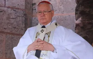Kardinal Francisco Robles Ortega, Erzbischof von Guadalajara (Mexiko) / Erzbistum Guadalajara
