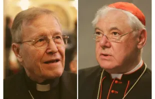 Kardinal Walter Kasper (links) und Kardinal Gerhard Ludwig Müller / Bohumil Petrik / Daniel Ibanez / CNA Deutsch
