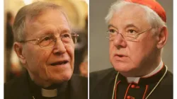 Kardinal Walter Kasper (links) und Kardinal Gerhard Ludwig Müller / Bohumil Petrik / Daniel Ibanez / CNA Deutsch