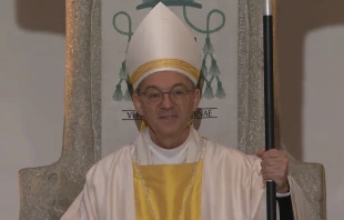 Bischof Klaus Krämer / screenshot / YouTube / Dioezese_RS