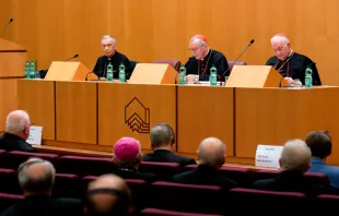 Die Kardinäle Luis Ladaria SJ, Pietro Parolin und Marc Ouellet PSS im Gespräch mit den deutschen Bischöfen am 18. November 2022 in Rom / Vatican Media