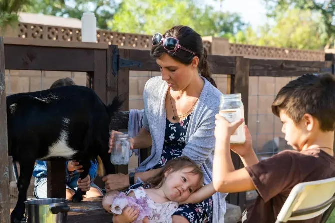 Maureen McKinley melkt eine der Ziegen der Familie, unterstützt von drei ihrer Kinder: Madeline (hinter der Ziege), Fiona und Augustine, am Montag, 2. August 2021. Die McKinleys haben zwei Ziegen, Hühner, einen Hasen und einen Hund.