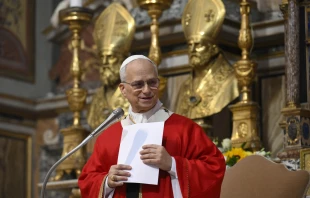 Papst Leo XIV. / Vatican Media