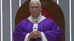 Papst Leo XIV. in Istanbul / screenshot / Vatican Media