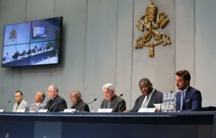 Presse-Termin zur Lepra-Konferenz im Vatikan. / CNA/Daniel Ibanez
