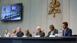Presse-Termin zur Lepra-Konferenz im Vatikan. / CNA/Daniel Ibanez