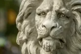 Es war einmal ein Löwe namens Cecile…  ein Kommentar über den Wert des Menschen