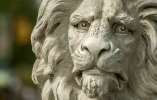 Ist die majestätische Würde des Löwen manchen Menschen wichtiger als die des Menschen? / Plasterbrain via Pixabay