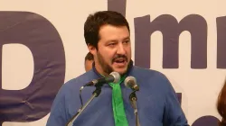 Matteo Salvini bei einer Wahlkampfveranstaltung im Jahr 2013 / Wikimedia / Fabio Visconti
