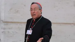 Kardinal Maradiaga / CNA / Petrik Bohumil