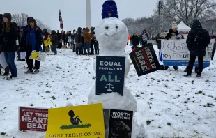 Teilnehmer am Marsch für das Leben in Washington, D.C., bauten am 19. Januar 2024 einen pro-life-Schneemann vor Beginn der Veranstaltung / Christina Herrera / EWTN News