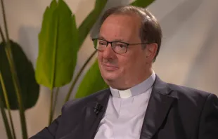 Der Untersekretär des Vatikan-Dikasteriums für die Gesetzestexte, Markus Graulich SDB. / EWTN Vatican