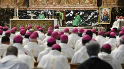 Messe im Petersdom mit Kardinal Bo / Vatican Media