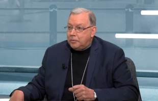 Der frühere Bischof von Verdun, Jean-Paul Gusching. / Screenshot von YouTube