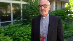 Kardinal Michael Czerny SJ / screenshot / YouTube / Development and Peace