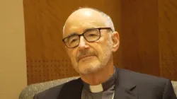 Kardinal Michael Czerny SJ / screenshot / YouTube / Vatican News - English