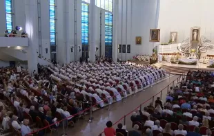 Seligsprechung des Priesters und Märtyrers Michał Rapacz am 15. Juni 2024 / Episkopat News