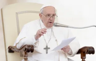 Papst Franziskus bei der Katechese auf dem Petersplatz. / CNA Deutsch / Daniel Ibanez