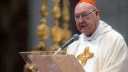 Kardinal Kevin Farrell am 23. Juni 2022 im Petersdom / Daniel Ibáñez / CNA