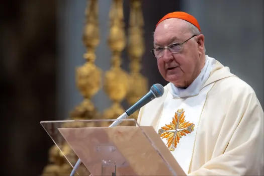 Kardinal Kevin Farrell am 23. Juni 2022 im Petersdom / Daniel Ibáñez / CNA