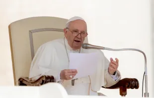 Papst Franziskus bei der Generalaudienz am 20. April 2022. / CNA Deutsch / Daniel Ibanez