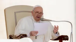 Papst Franziskus bei der Generalaudienz am 20. April 2022. / CNA Deutsch / Daniel Ibanez