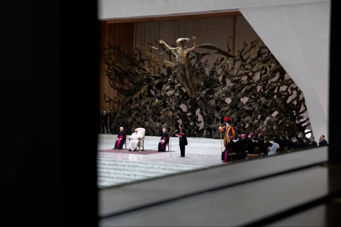 Blick auf Papst Franziskus während der Generalaudienz.