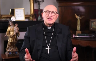 Der frühere Bischof von Fréjus-Toulon, Dominique Rey. / Screenshot von YouTube