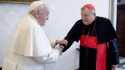 Papst Franziskus trifft sich mit Kardinal Raymond Burke am 29. Dezember 2023 im Vatikan. / Vatican Media