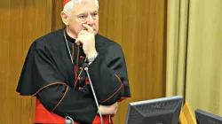 Kardinal Müller bei einer Konferenz im Vatikan, im November 2017. / CNA / Petrik Bohumil
