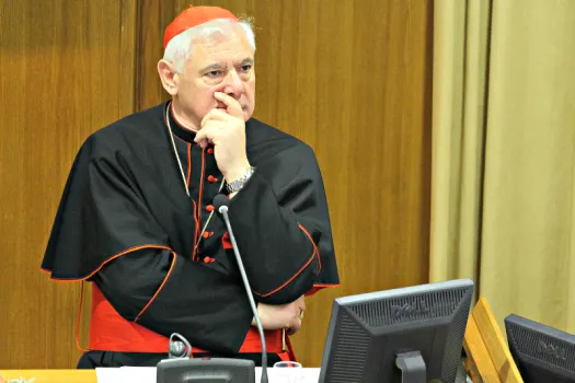 Kardinal Müller bei einer Konferenz im Vatikan im November 2014 / CNA / Petrik Bohumil