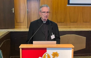 Pater Johannes Nebel FSO / Foto: Peter Düren