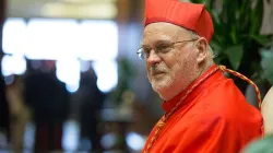 Der Stockholmer Kardinal Anders Arborelius beim Konsistorium im Petersdom am 28. Juni 2017 / CNA Deutsch / Daniel Ibanez